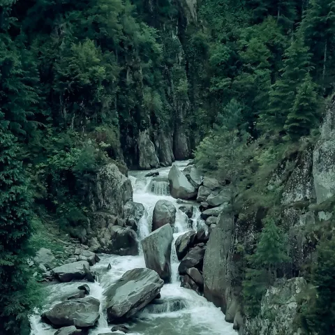 Deep Jungle Treks