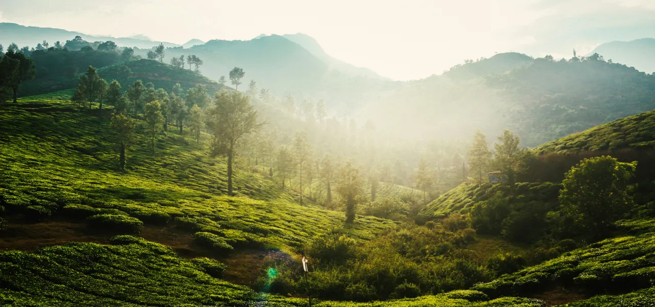 Wayanad: The Hidden Paradise of Kerala