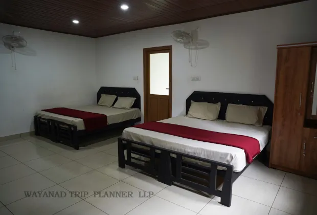 IMAGE-WAYANAD COUPLE PACKAGE