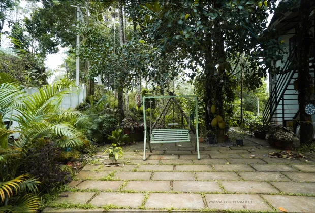 IMAGE-WAYANAD COUPLE PACKAGE