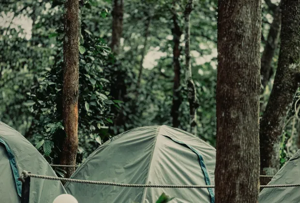 Wayanad Best Tour Packages