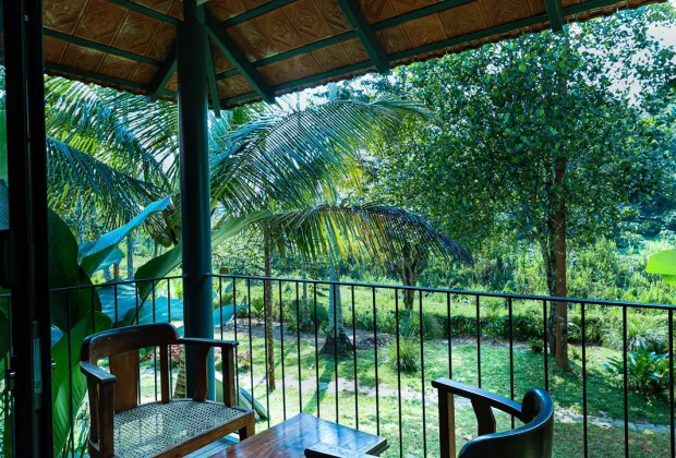 Best Wayanad Tour Packages and Best  Couple Rooms in Wayanad