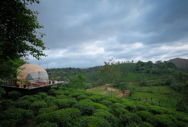 Best Wayanad Couple Tour Packages