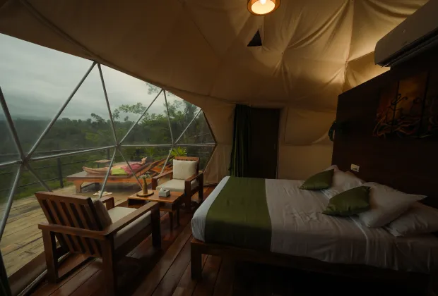 Best Wayanad Couple Tour Packages