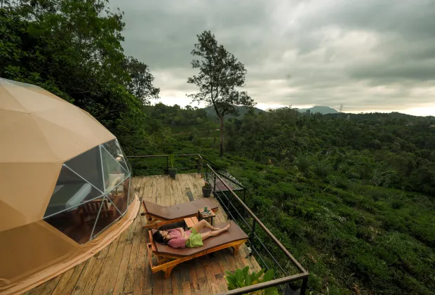 Best Wayanad Couple Tour Packages