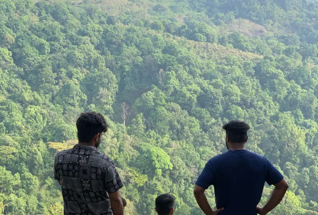 Best Wayanad Tour Packages