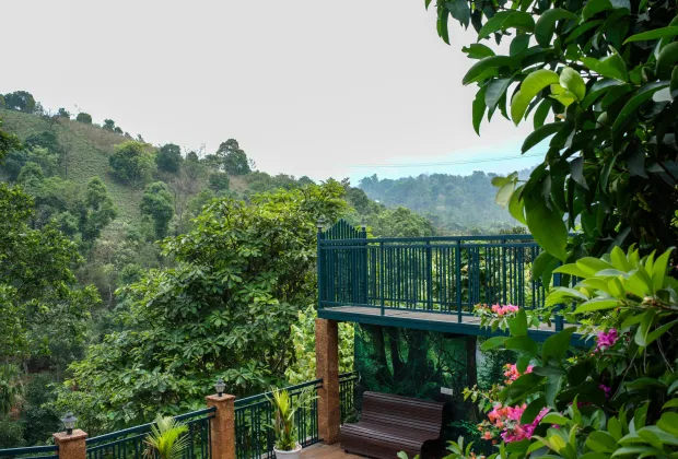 Best Wayanad Couple Tour Packages