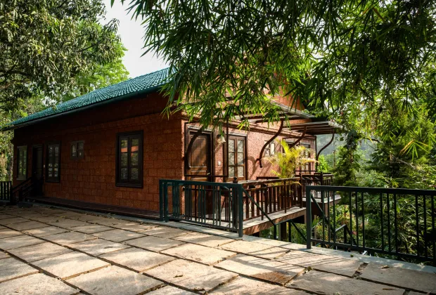 Best Wayanad Couple Tour Packages