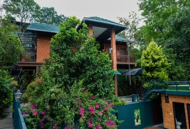 Best Wayanad Couple Tour Packages