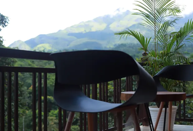 Best Wayanad Couple Tour Packages