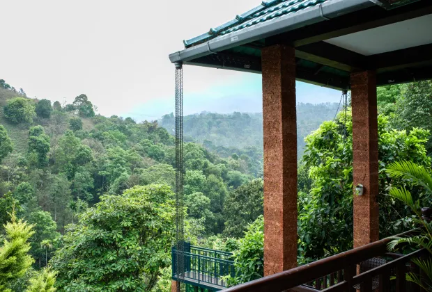 Best Wayanad Couple Tour Packages