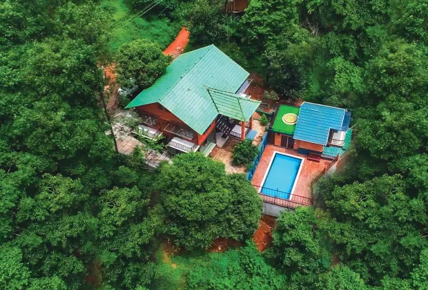 Best Wayanad Couple Tour Packages