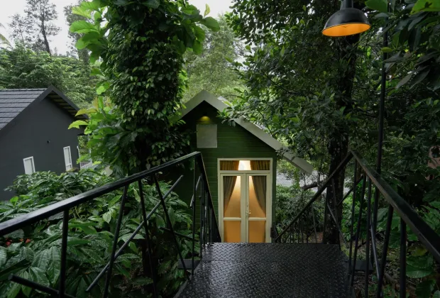 Best Wayanad Couple Tour Packages