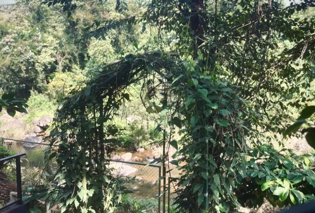 Best Wayanad Couple Tour Packages
