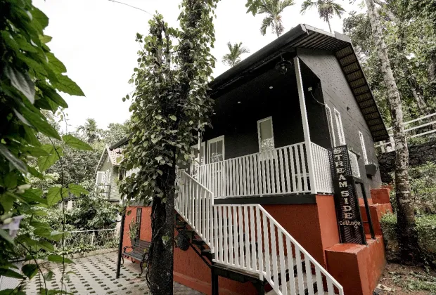 Best Wayanad Couple Tour Packages