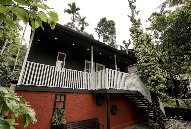Best Wayanad Couple Tour Packages