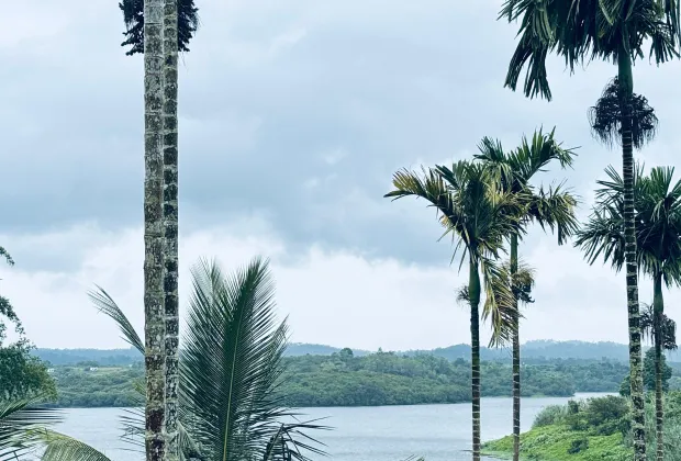 Best Wayanad Tour Packages