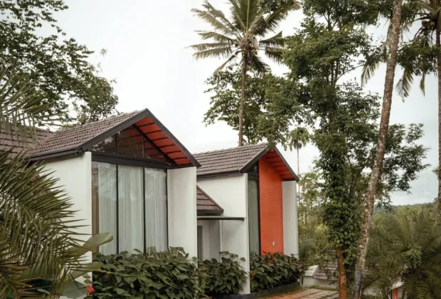 Best Wayanad Tour Packages