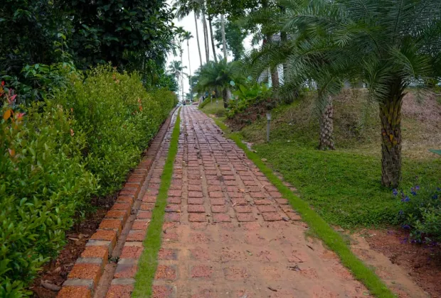 Best Wayanad Tour Packages