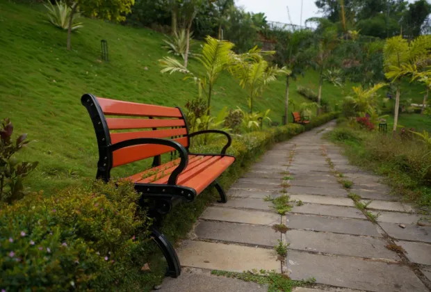 IMAGE-WAYANAD COUPLE PACKAGE