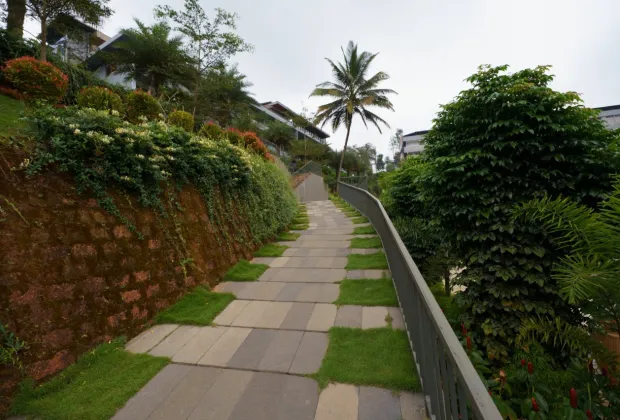 Best Wayanad Tour Packages