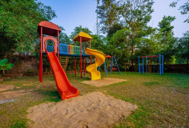 Best Wayanad Tour PackagesBest Wayanad Tour Packages