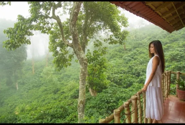 IMAGE-WAYANAD COUPLE PACKAGE