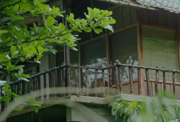 Best Wayanad Couple Tour Packages