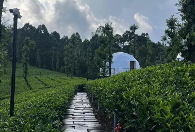 Best Glamping Stay for Couples in Wayanad | Romantic Luxury Tents & Nature Retreat