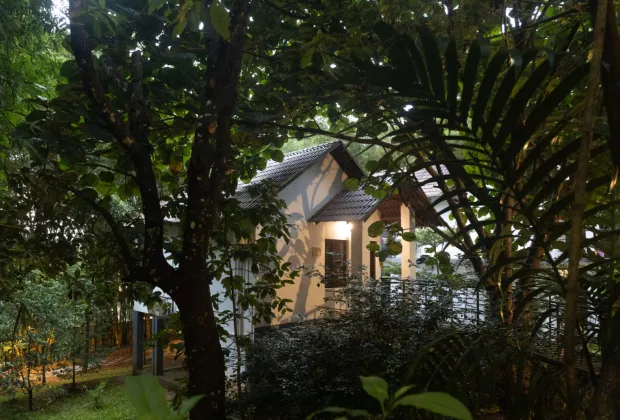 budget pool resorts in wayanad