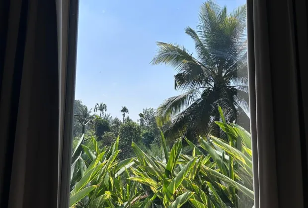 budget pool resorts in wayanad