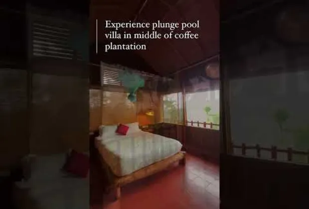 Preview image for the video "Luxury Wood House Stay in Coffee Plantation – Private Plunge Pool in Wayanad".