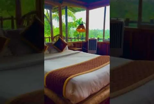 Preview image for the video "Luxury Wood House Stay in Coffee Plantation – Private Plunge Pool in Wayanad".