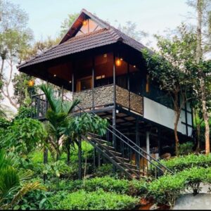 2 Days & 1 Night Wayanad Couple Tour Packages-Budget