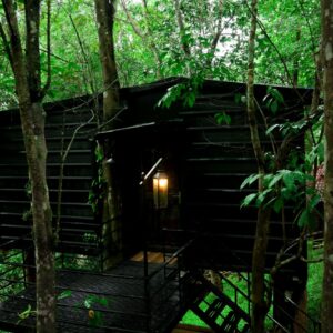 2 Days & 1 Night Wayanad Couple Packages - Platinum