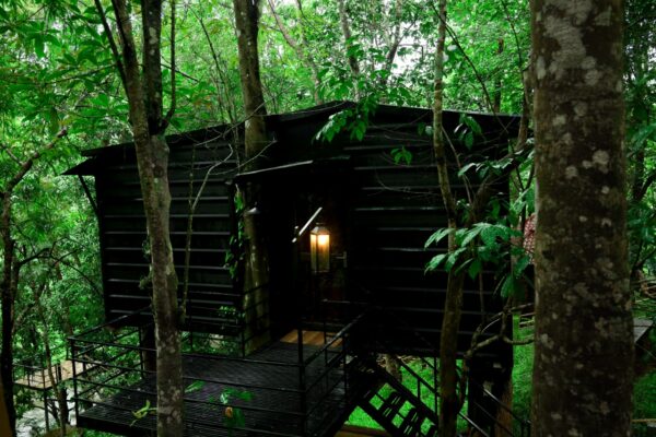 2 Days & 1 Night Wayanad Couple Packages - Platinum