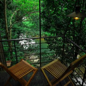 3 days & 2 Nights Wayanad Couple Packages - Platinum