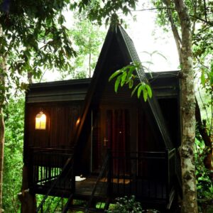 4 Day & 3 Nights Wayanad Couple Packages - Platinum